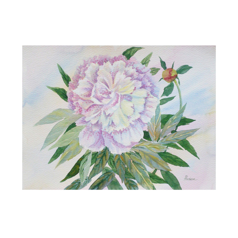 White Pink Peony Poster A4 by Natalia Piacheva cov 1.jpg