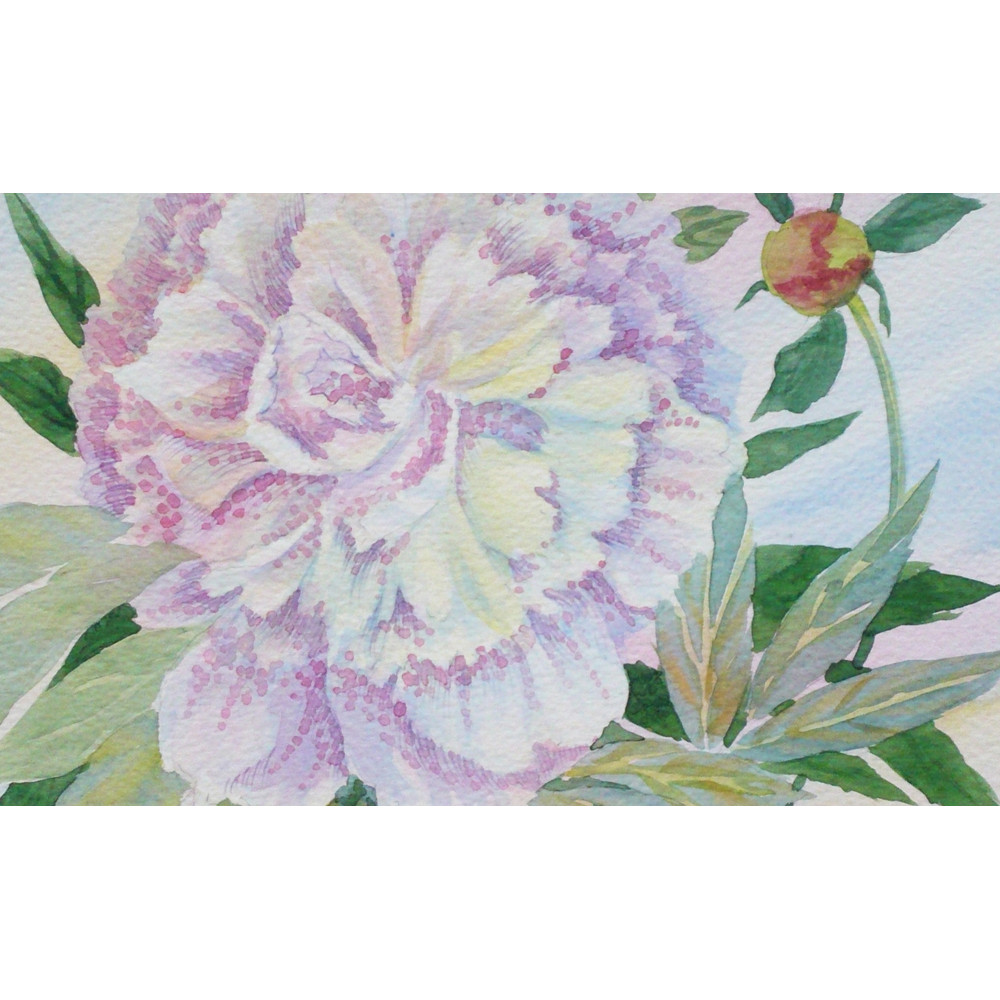 White Pink Peony 23x30 09_1.jpg
