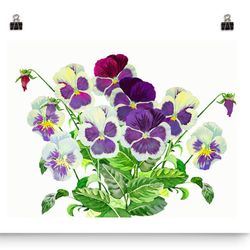 Bouquet with Claret Blue Pansies, Watercolor Flowers for Gift