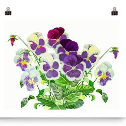bouquet with claret blue pansies, watercolor flowers for gift
