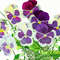 Bouquet with Claret blue pansies 2.jpg