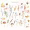 2-1 Watercolor leaf fall cover.jpg