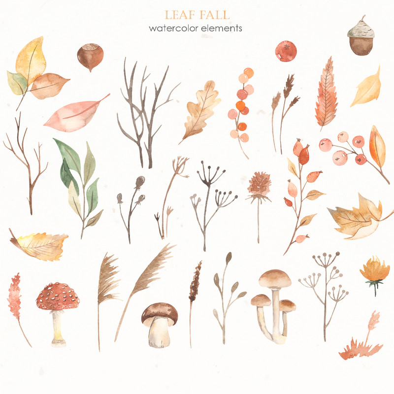 2-1 Watercolor leaf fall cover.jpg