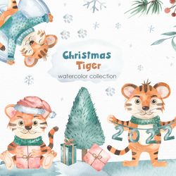christmas tigers watercolor clipart set with cute tiger cubs, winter plants, pine branches, berries, gifts, christmas
