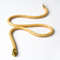Gold-snake-choker-5.jpg