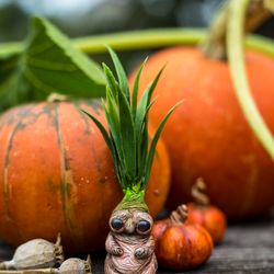 original cute airdry clay plant home decor collectibles clay doll kawaii root