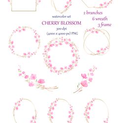 watercolor cherry blossom big set