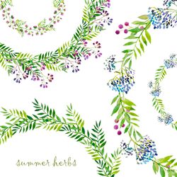 5 watercolor wreaths with summer flowers and herbs