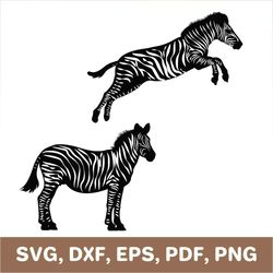 Zebra svg, zebra dxf, zebra png, zebra template, zebra cut file, zebra cutout, zebra laser cut, zebra pdf, Cricut, SVG