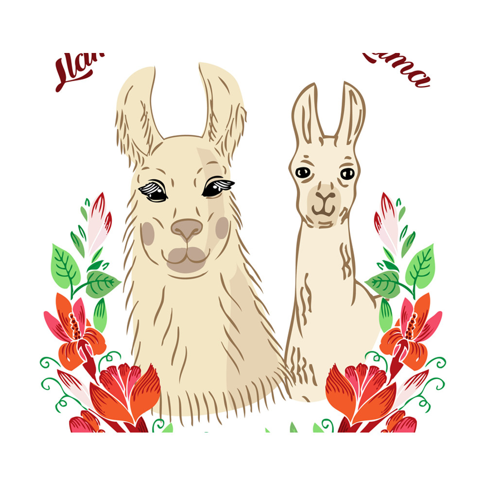 Llama with baby. poster A4_2.jpg