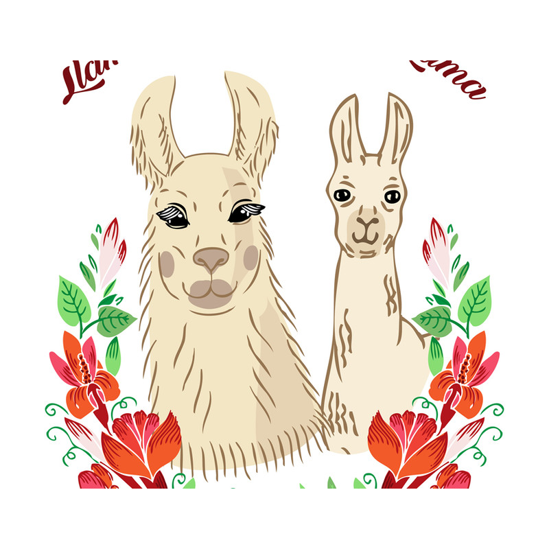 Llama with baby. poster A4_2.jpg