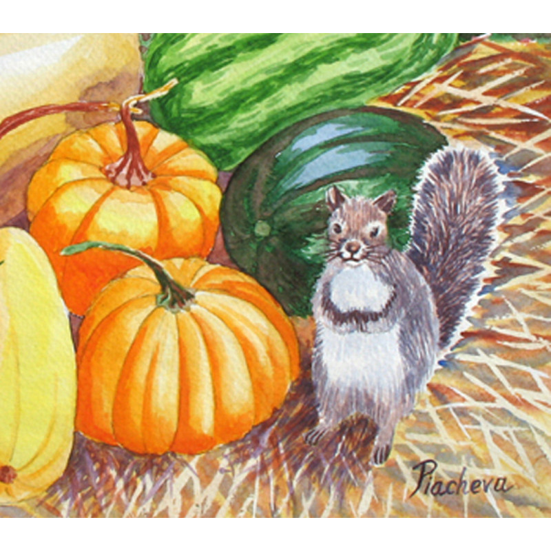 a squirrel and pumpkins 2007 cov 3.jpg