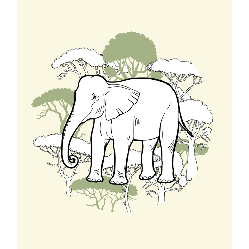 Elephant print 2 cov 2.jpg