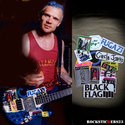 Flea guitar stickers C-Punk bass modulus custom fb-4 RHCP Michael Balzary. set 14
