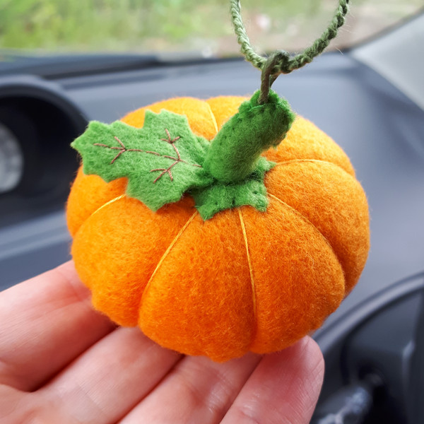 Pumpkin-car-accessories[1].jpg