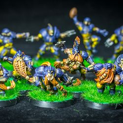 the middenheim maulers – old world alliance blood bowl team - painting comission