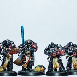 primaris crusader squad - painting comission