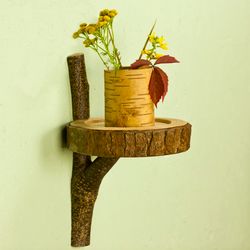 Tree disc shelf wall, Natural Wood Live Edge, floating shelves, display shelves, shadow box, wall plante stand,