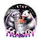 Stay Trashy PNG, Raccoon and Opossum Clipart, Trash Panda PNG, Sarcastic Png, Funny Sublimation Design, Opossum Clipart, Funny Tshirt Design 2.jpg