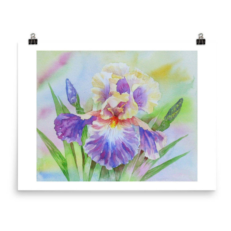 Yellow Violet Iris in the Garden cov 1.jpg