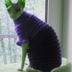 cat clothes, cat sweater, sphynx clothes, sphynx sweater, warm sphynx clothes, warm cat clothes, warm cat sweater