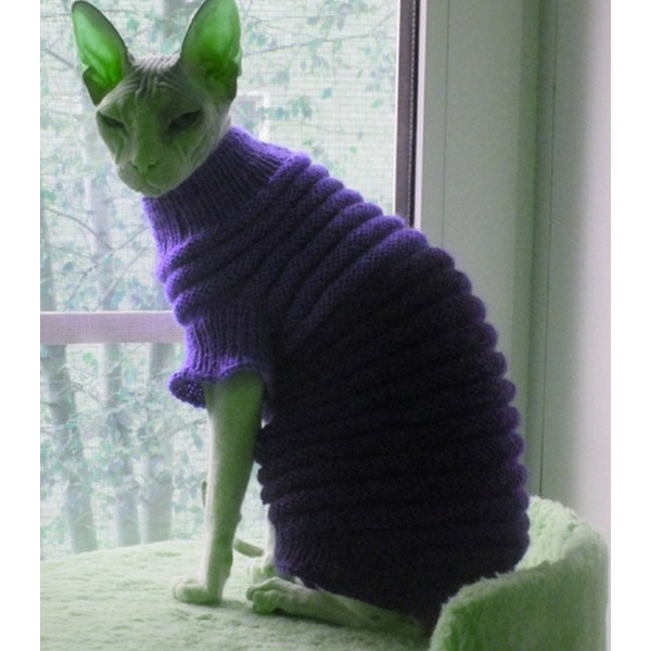 sphynx cat sweater