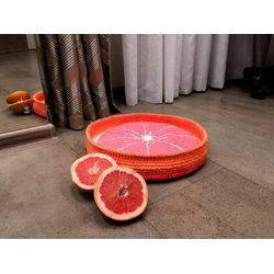 Cat bed grapefruit, Cat house, Pet pillow