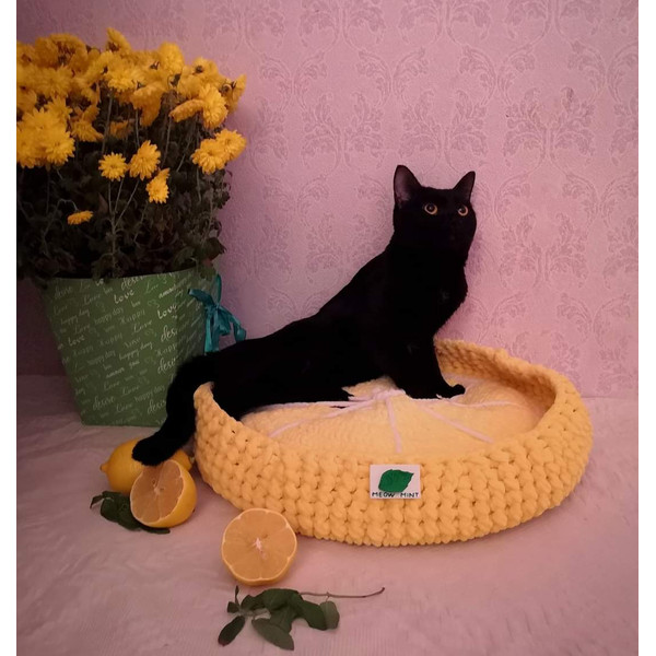 cat bed crochet_lemon crochet_лежанка для кота.jpg
