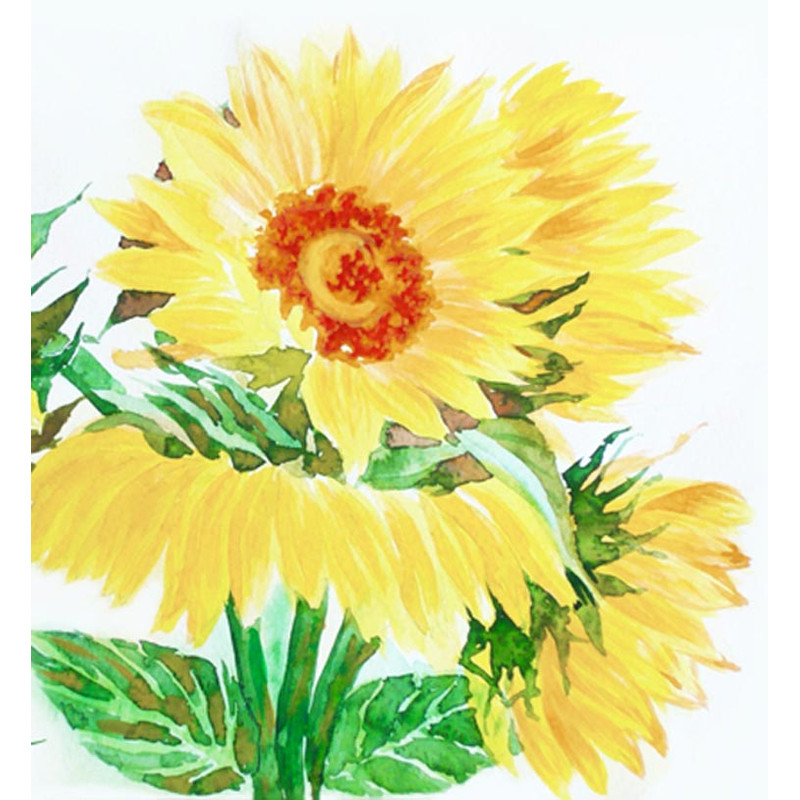 Yellow Sunflowers 2.jpg