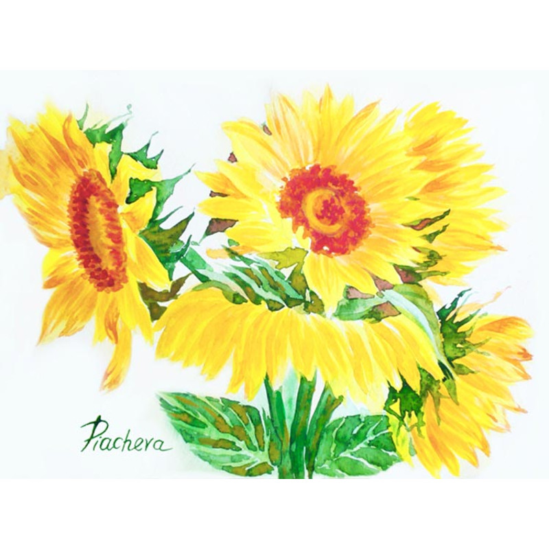 Yellow Sunflowers 3.jpg