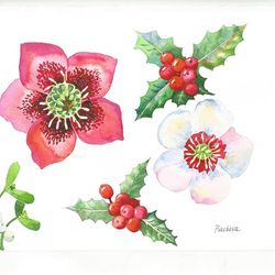 Hellebore Flowers and Holly, Watercolor Original, Flower, floral gift Christmas
