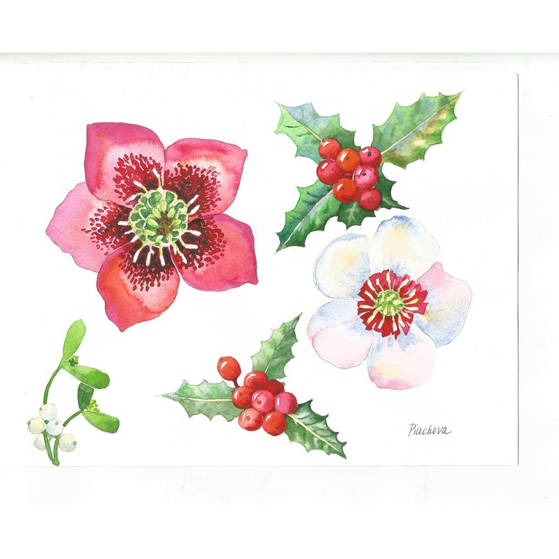 Hellebore Flowers and Holly 22.jpg