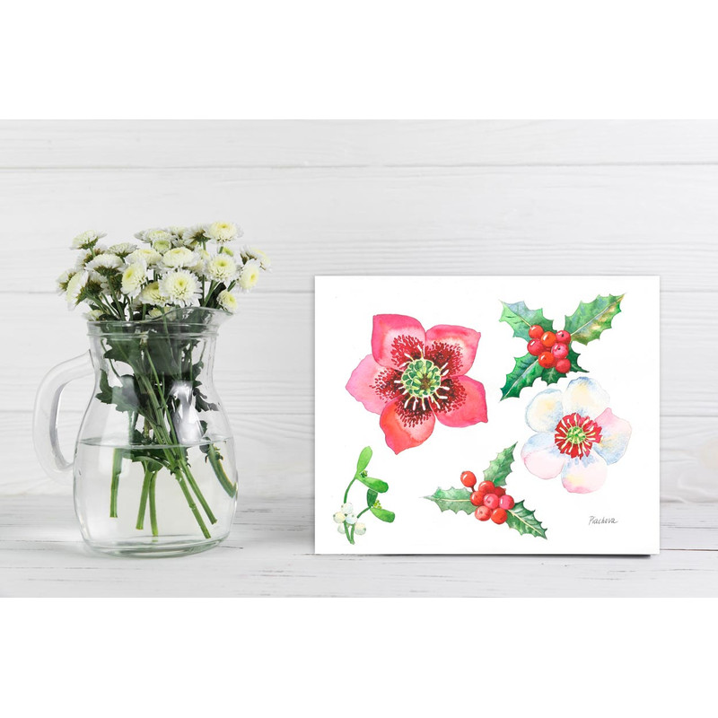 Hellebore Flowers and Holly 23.jpg