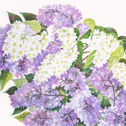 bouquet of lilac and bird cherry, watercolor original, flower, floral gift, spring