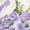 Bouquet of Lilac 2 6.jpg