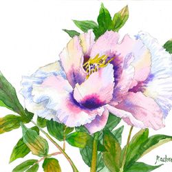 Peony With Pink Petals, Watercolor Original, Flower, floral gift