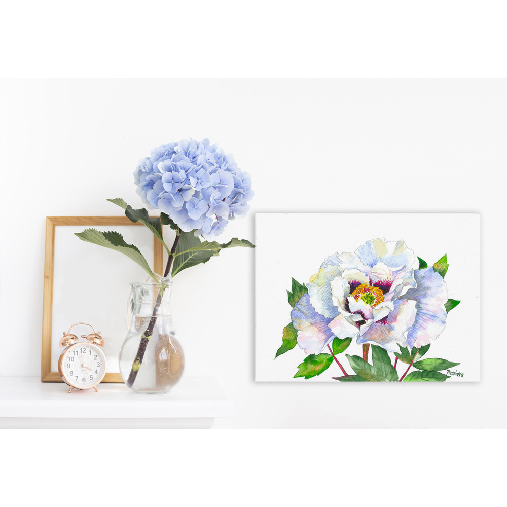 Древовидный пион с белыми лепестками_4.jpg