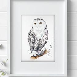 White owl bird 7x10 inch original painting art by Anne Gorywine