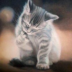 the kitten washes. oil painting. canvas on fiberboard. original