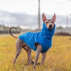 xoloitzcuintli custom waterproof raincoats dog spring autumn coat xolo fall raincoat waterresistant rainy weather coat