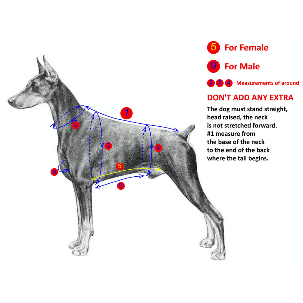 Screenshot 2022-09-21 at 17.13.15.png