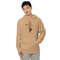 sandstone hoodie.jpg