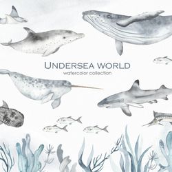 Undersea world Watercolor clipart. Marine animals - fishes, sharks, whales, dolphins, stingrays, octopuses.