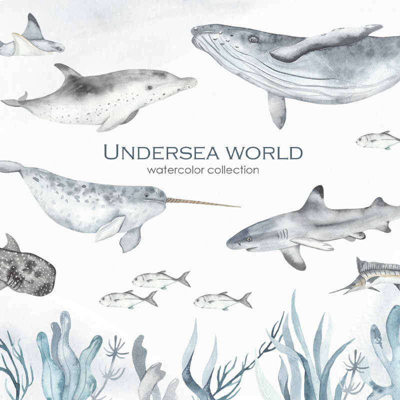 1-1 Underwater world watercolor blue cover.jpg