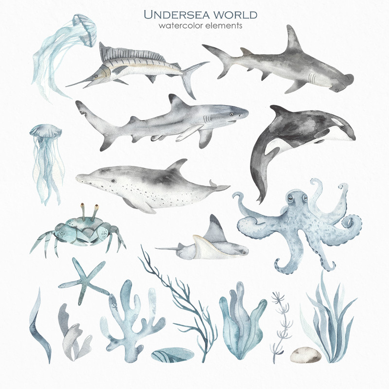 3-1 Underwater world watercolor blue cover.jpg