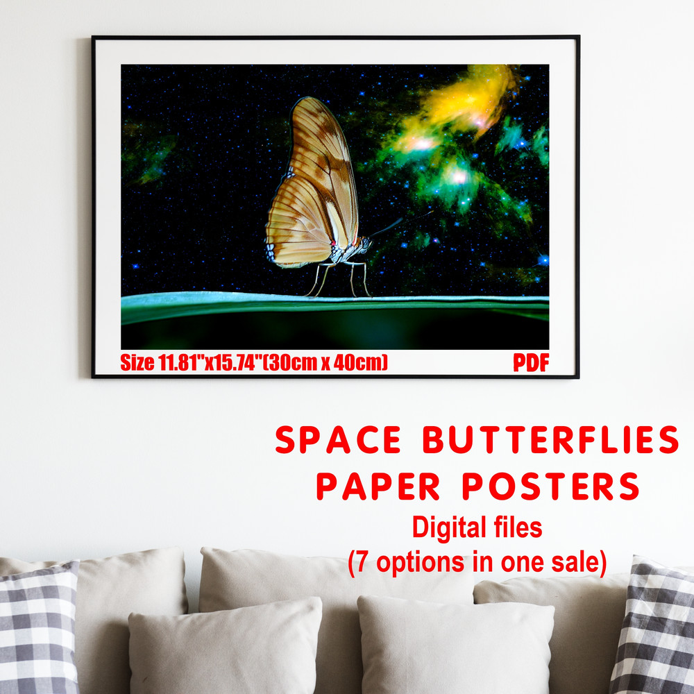 IU 02-01 Space butterflies.jpg