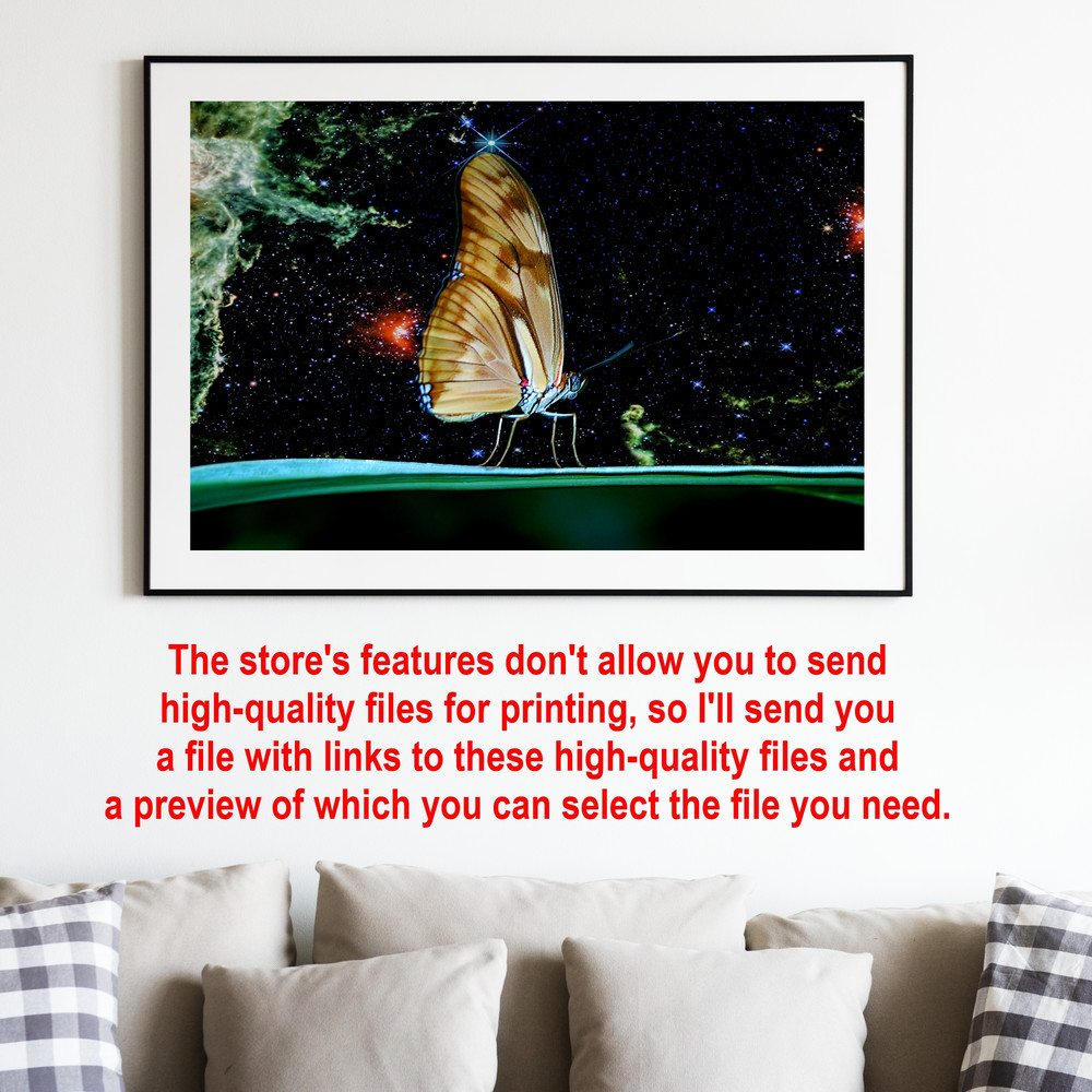 IU 02-02 Space butterflies.jpg