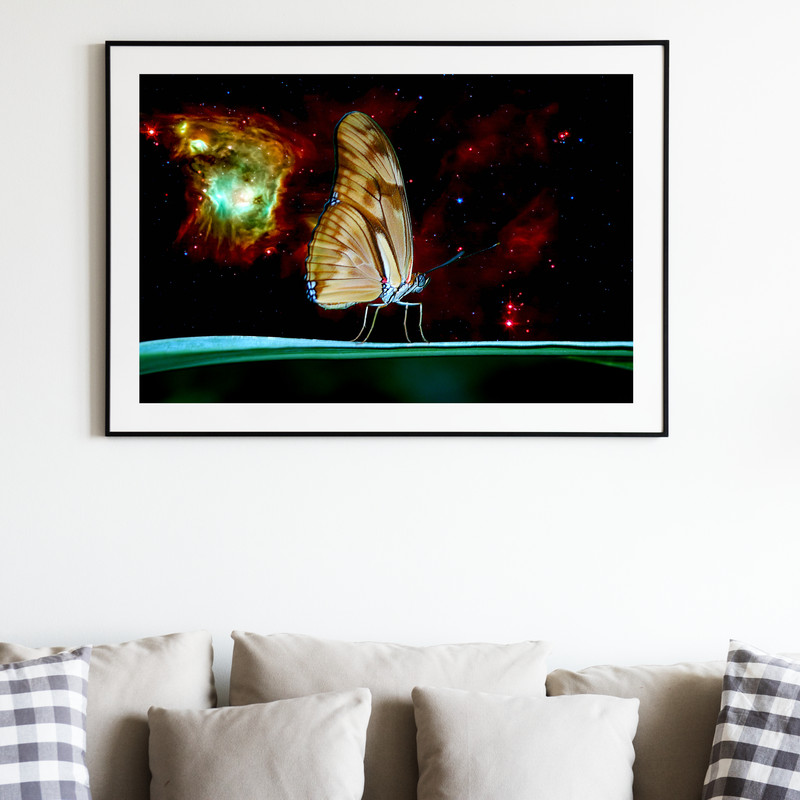 IU 02-03 Space butterflies.jpg