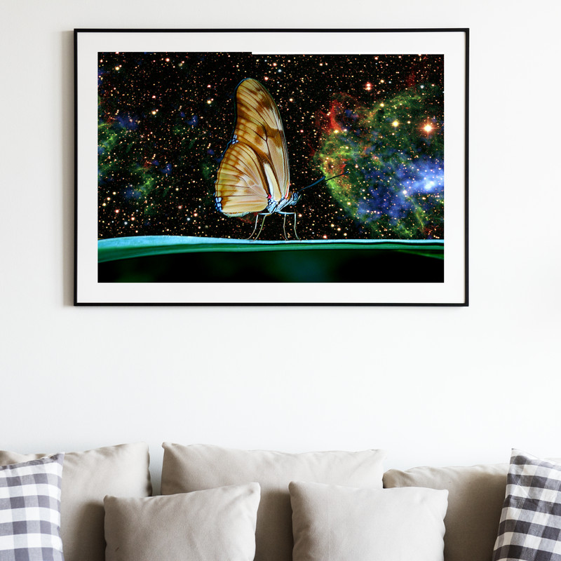 IU 02-04 Space butterflies.jpg