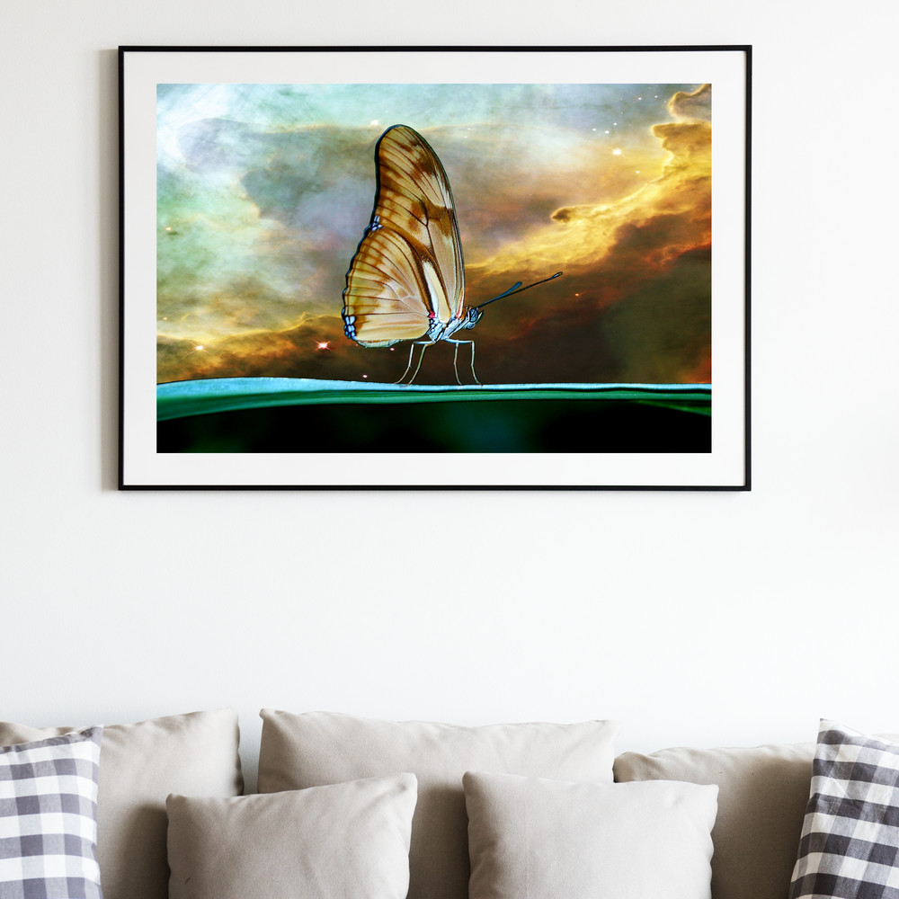 IU 02-05 Space butterflies.jpg